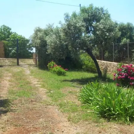 Narcisi * Alghero