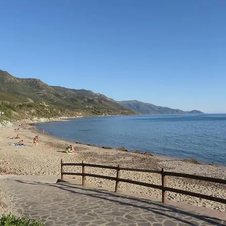 Narcisi * Alghero