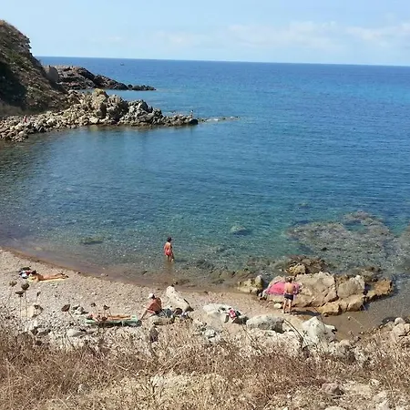 Narcisi * Alguer