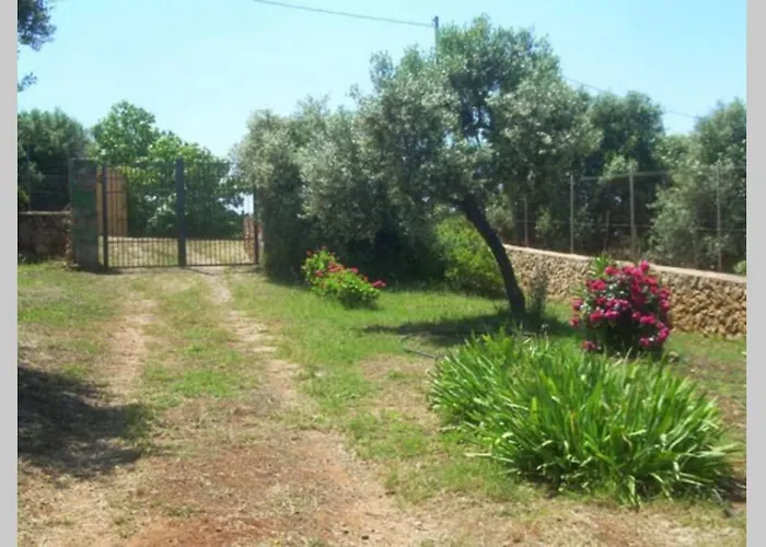 Narcisi * Альгеро