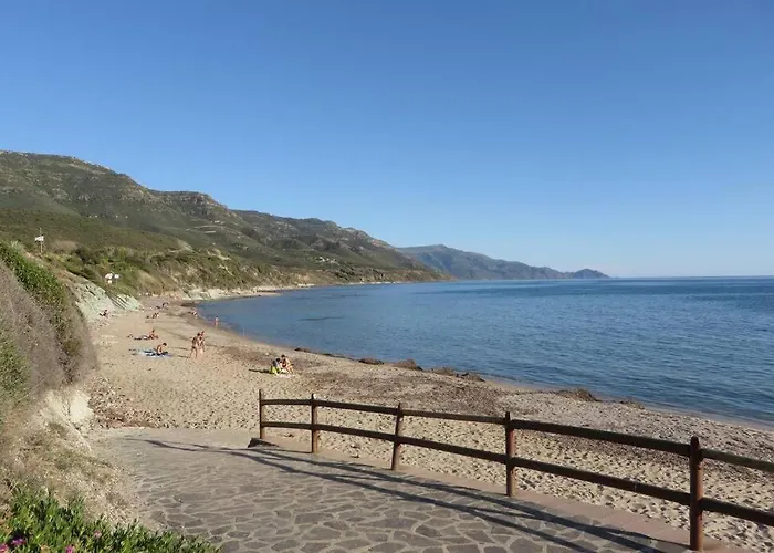 Narcisi * Альгеро