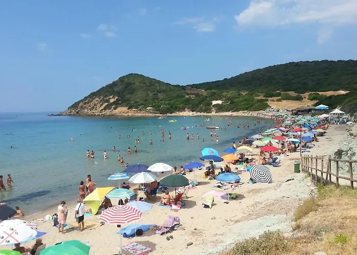 Narcisi Дом отдыха *