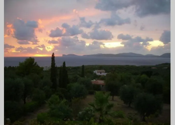 Narcisi Альгеро