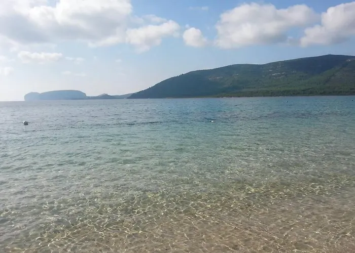 Narcisi * Альгеро